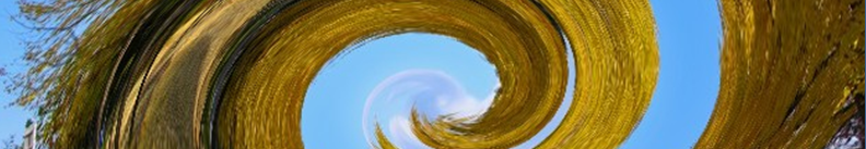 黒子のバスケ関連の情報収集