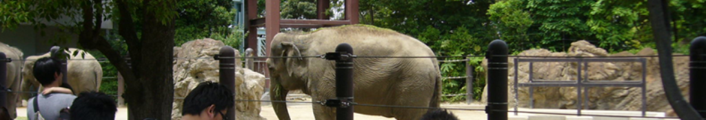 iLifeの関連ニュース